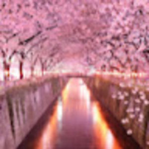 Meet your Posher, Montana